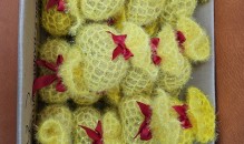 2025년 부활 주일